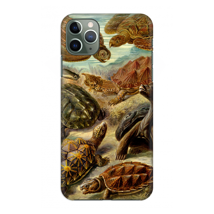 CaseCompany Haeckel Chelonia: Volledig geprint iPhone 11 Pro Max Hoesje
