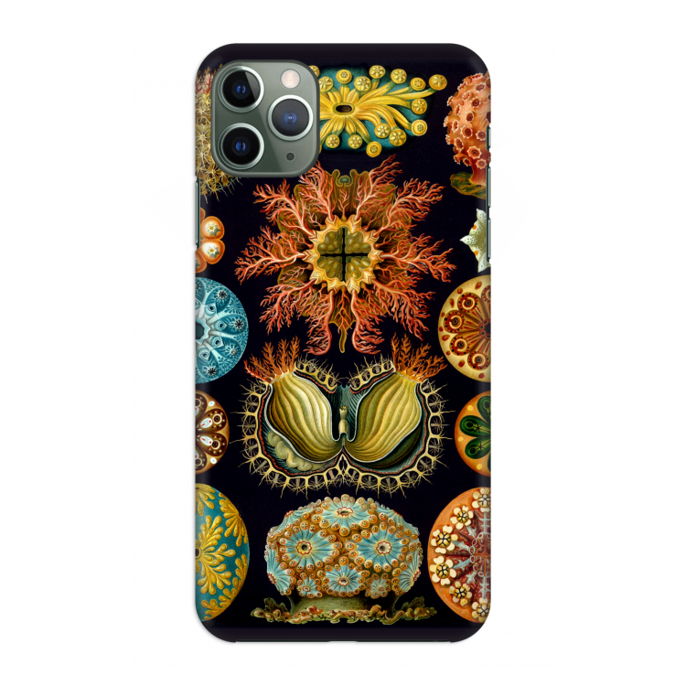 CaseCompany Haeckel Ascidiae: Volledig geprint iPhone 11 Pro Max Hoesje