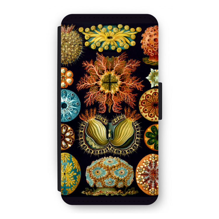 Haeckel Ascidiae: iPhone 12 Flip Hoesje
