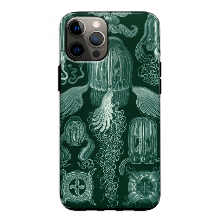 Haeckel Cubomedusae: iPhone 12 Tough Case