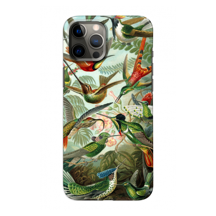 Haeckel Trochilidae: Volledig geprint iPhone 12 Hoesje