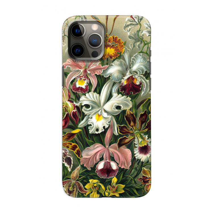 Haeckel Orchidae: Volledig geprint iPhone 12 Hoesje