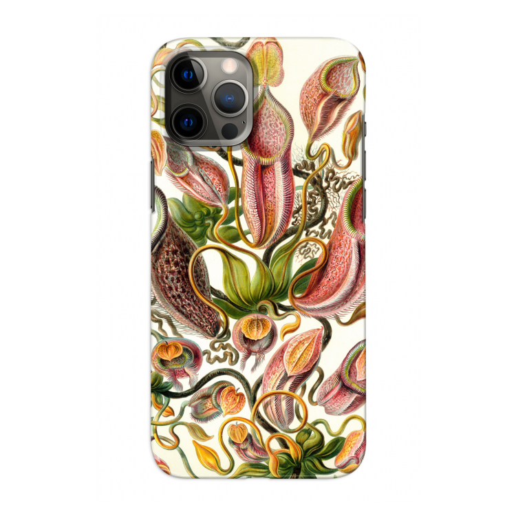 Haeckel Nepenthaceae: Volledig geprint iPhone 12 Hoesje