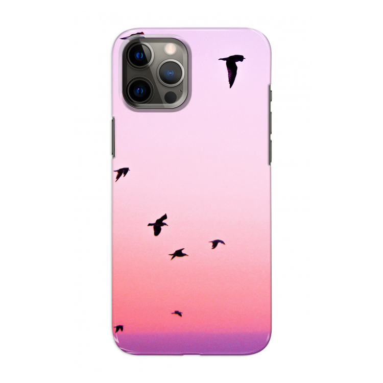 Fly away: Volledig geprint iPhone 12 Hoesje