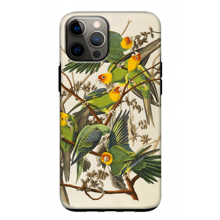 Carolinaparkiet: iPhone 12 Tough Case