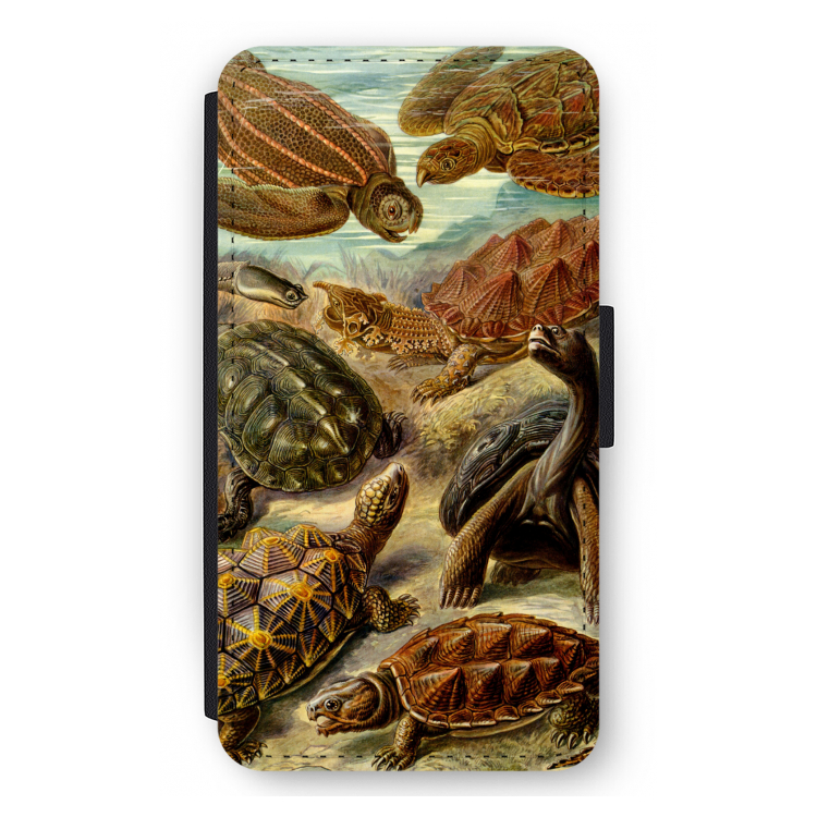 Haeckel Chelonia: iPhone 12 mini Flip Hoesje