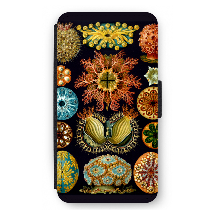 Haeckel Ascidiae: iPhone 12 mini Flip Hoesje