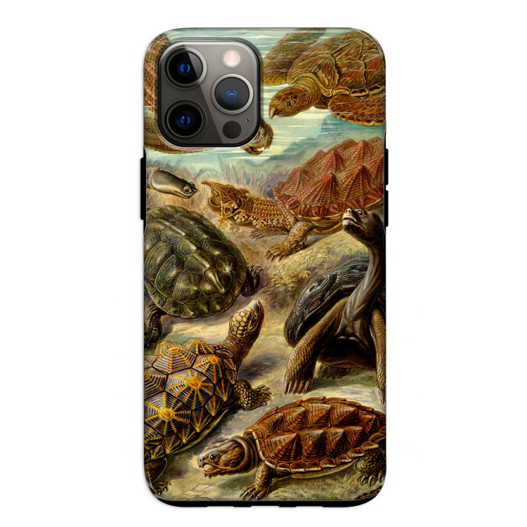 Haeckel Chelonia: iPhone 12 Pro Tough Case