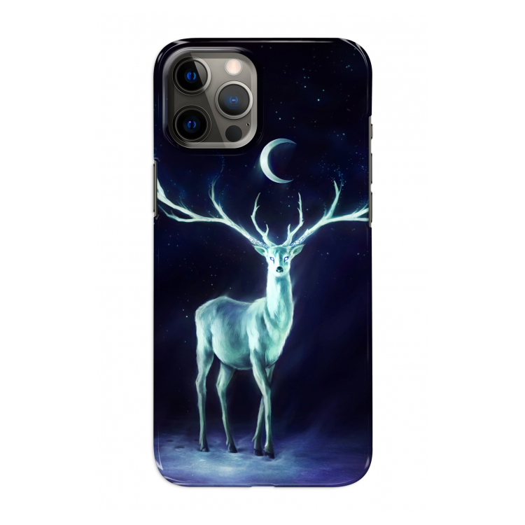 Nightbringer: Volledig geprint iPhone 12 Pro Hoesje