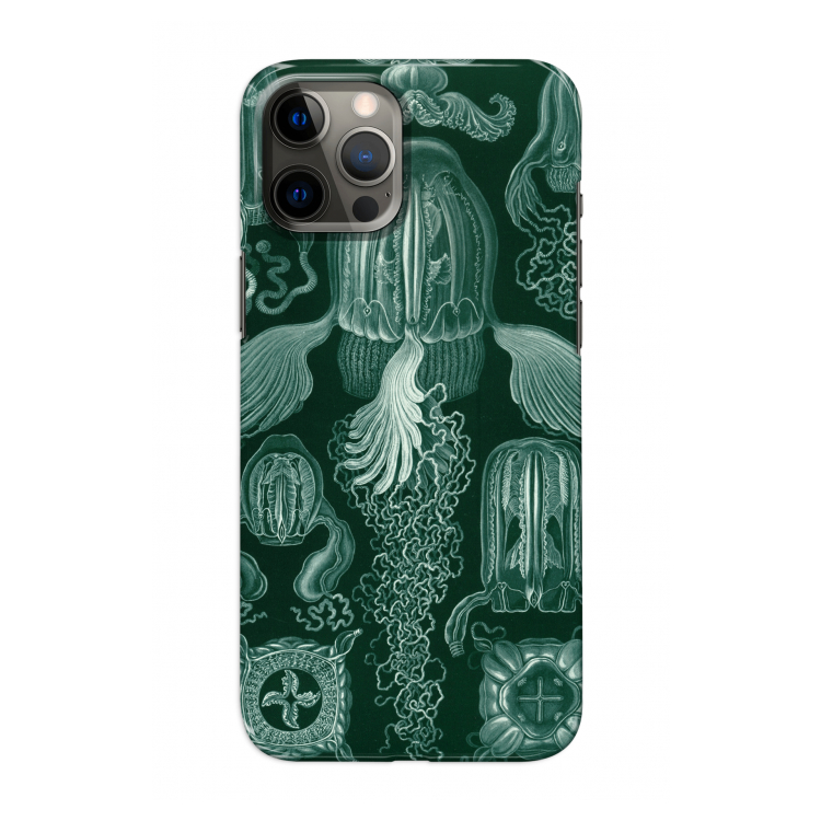 Haeckel Cubomedusae: Volledig geprint iPhone 12 Pro Hoesje