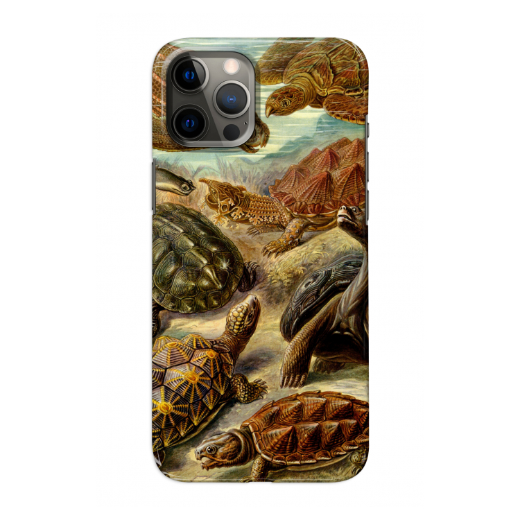 Haeckel Chelonia: Volledig geprint iPhone 12 Pro Hoesje