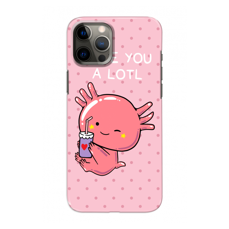 Love You A Lotl: Volledig geprint iPhone 12 Pro Hoesje