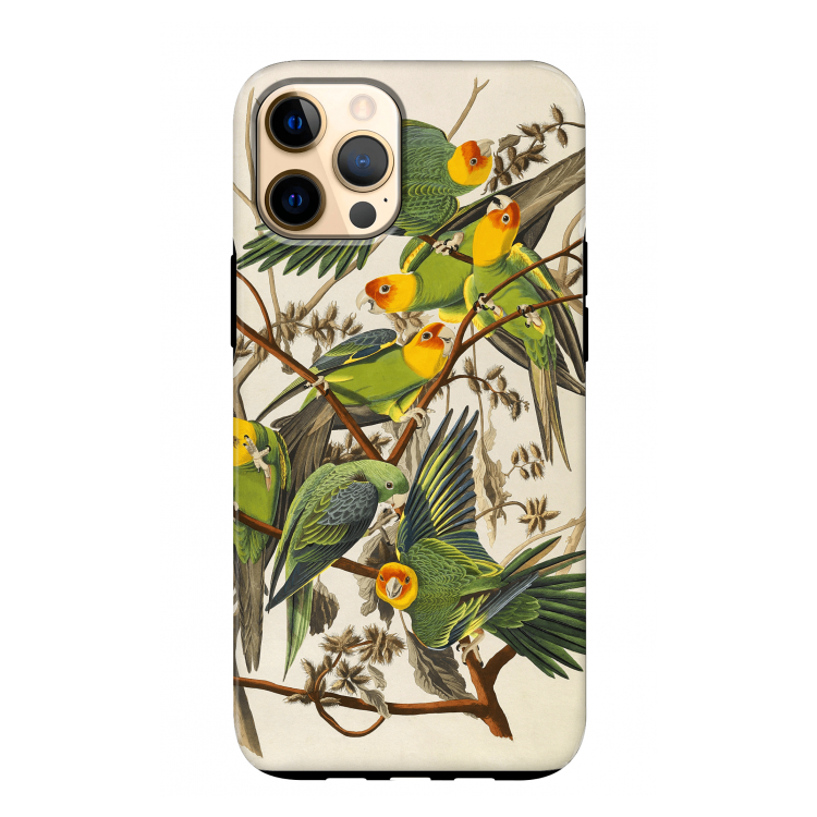 Carolinaparkiet: iPhone 12 Pro Max Tough Case