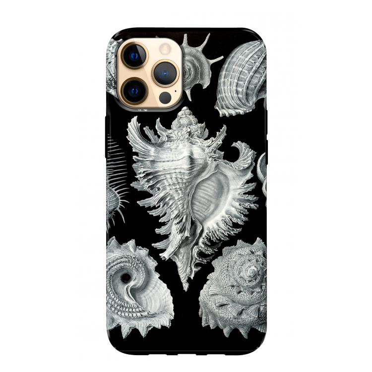 Haeckel Prosobranchia: iPhone 12 Pro Max Tough Case