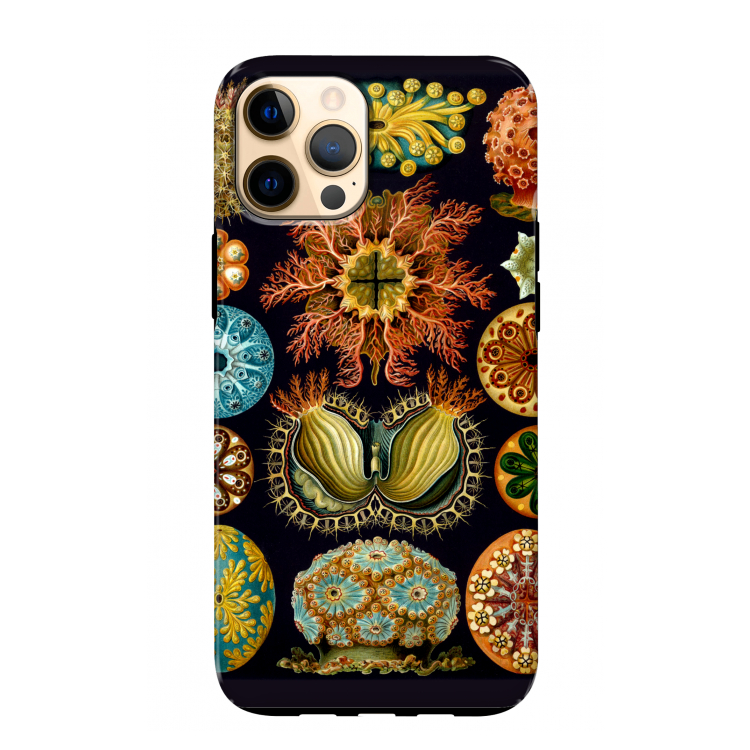 Haeckel Ascidiae: iPhone 12 Pro Max Tough Case
