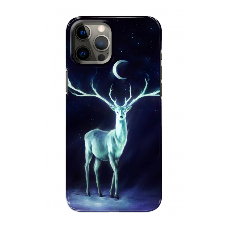 Nightbringer: Volledig geprint iPhone 12 Pro Max Hoesje