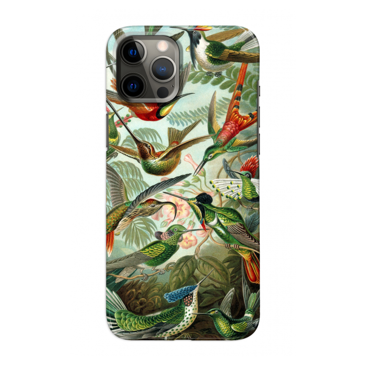 Haeckel Trochilidae: Volledig geprint iPhone 12 Pro Max Hoesje