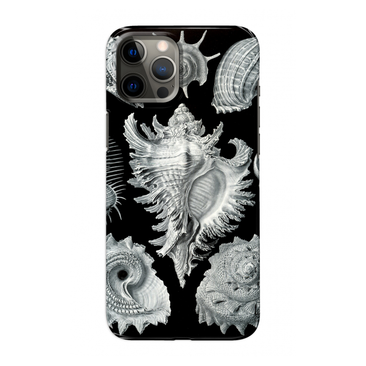 Haeckel Prosobranchia: Volledig geprint iPhone 12 Pro Max Hoesje