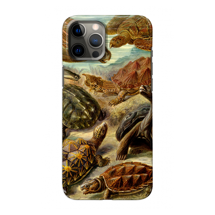Haeckel Chelonia: Volledig geprint iPhone 12 Pro Max Hoesje