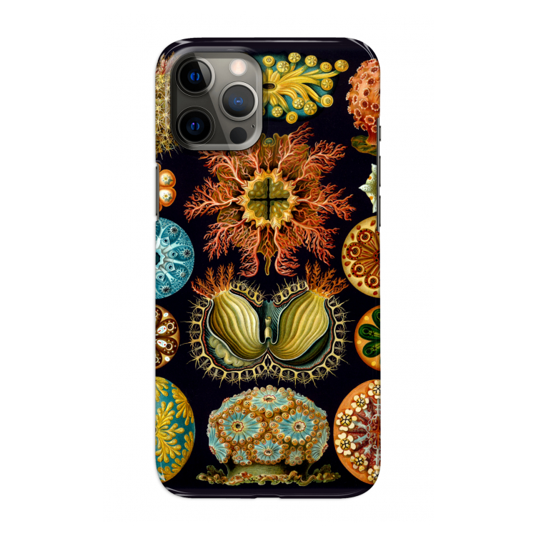 Haeckel Ascidiae: Volledig geprint iPhone 12 Pro Max Hoesje