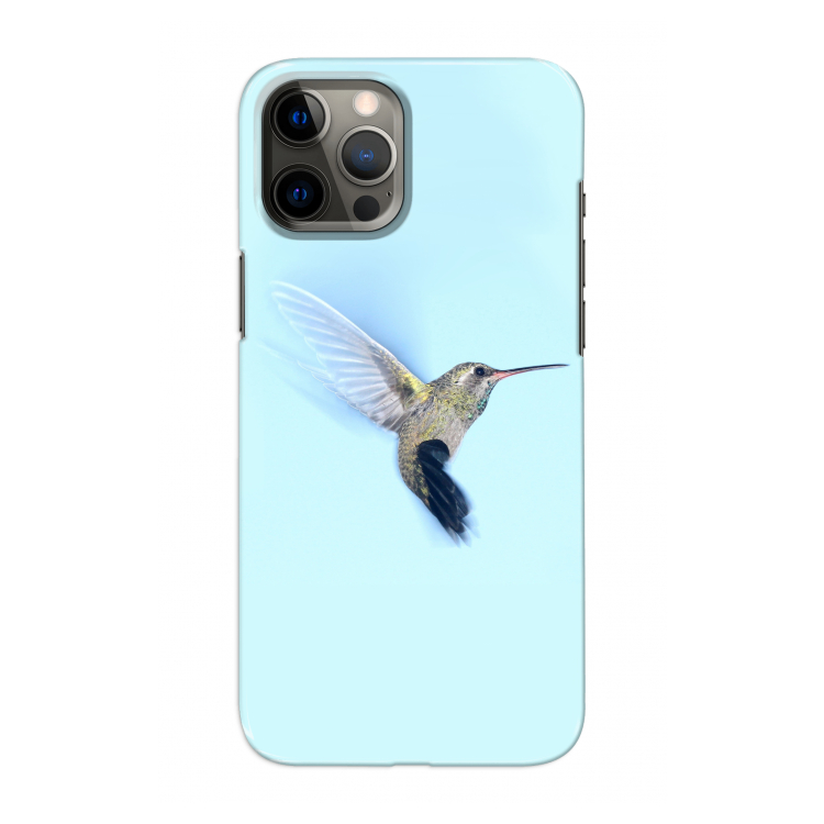 Kolibri: Volledig geprint iPhone 12 Pro Max Hoesje