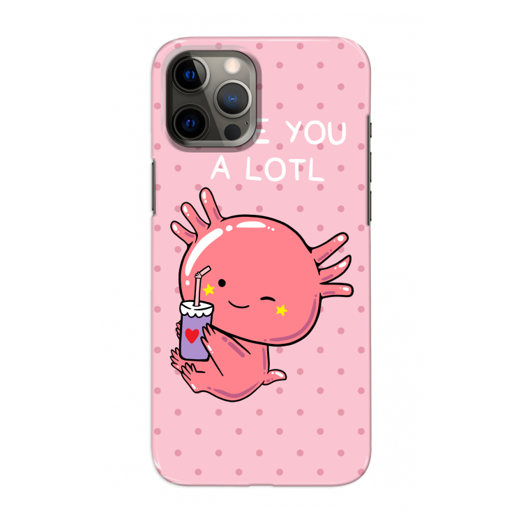 Love You A Lotl: Volledig geprint iPhone 12 Pro Max Hoesje