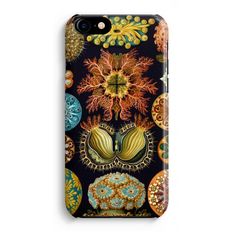 Haeckel Ascidiae: Volledig Geprint iPhone 7 Hoesje