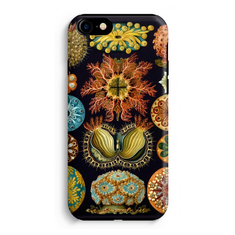 Haeckel Ascidiae: iPhone 7 Tough Case