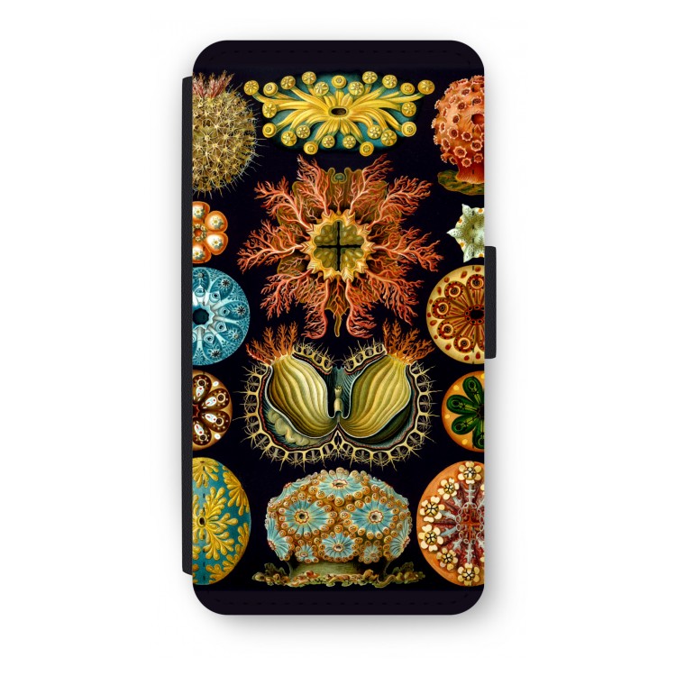 Haeckel Ascidiae: iPhone 8 Plus Flip Hoesje