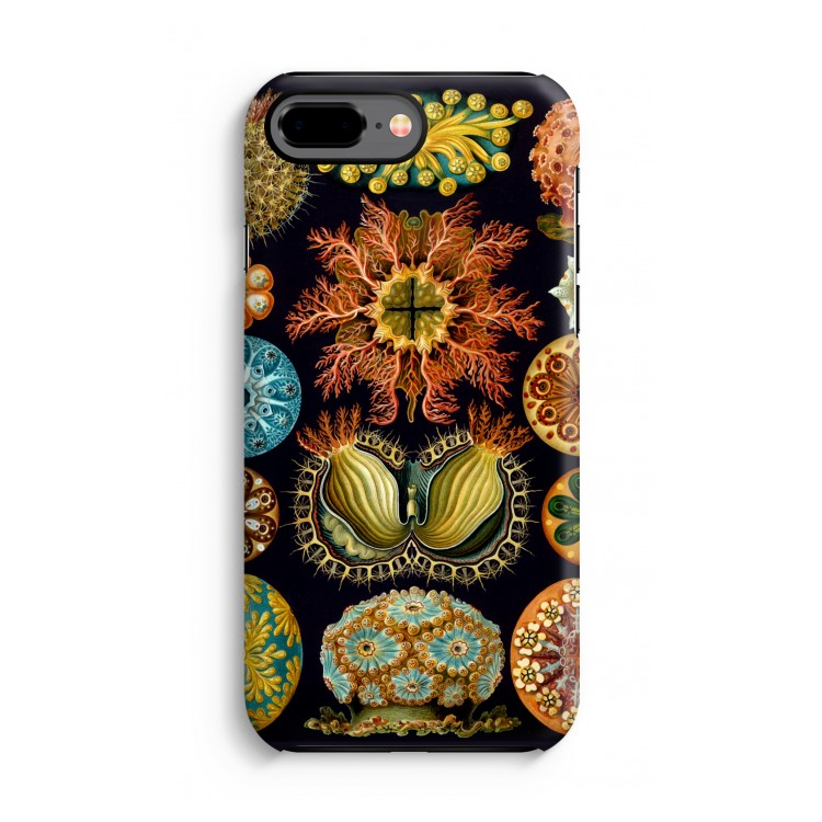 Haeckel Ascidiae: iPhone 8 Plus Tough Case