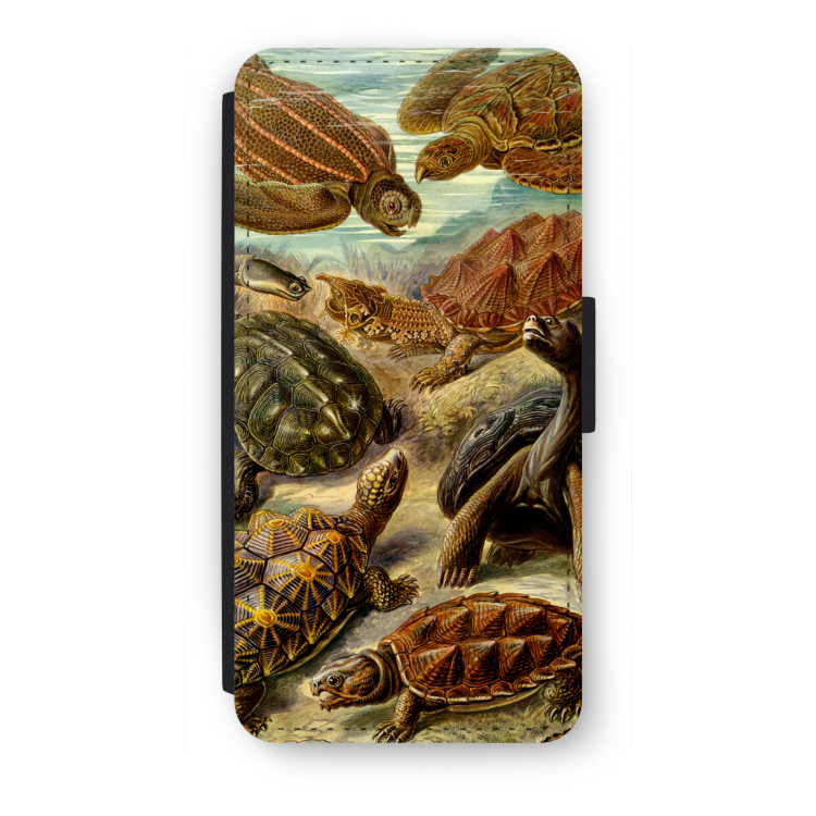 Haeckel Chelonia: iPhone SE 2020 Flip Hoesje