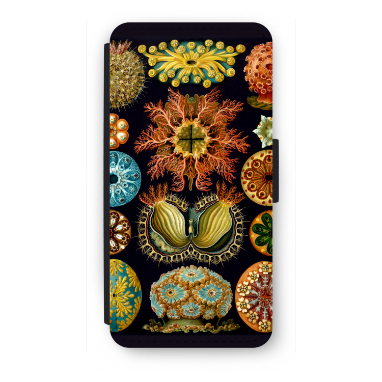 Haeckel Ascidiae: iPhone SE 2020 Flip Hoesje