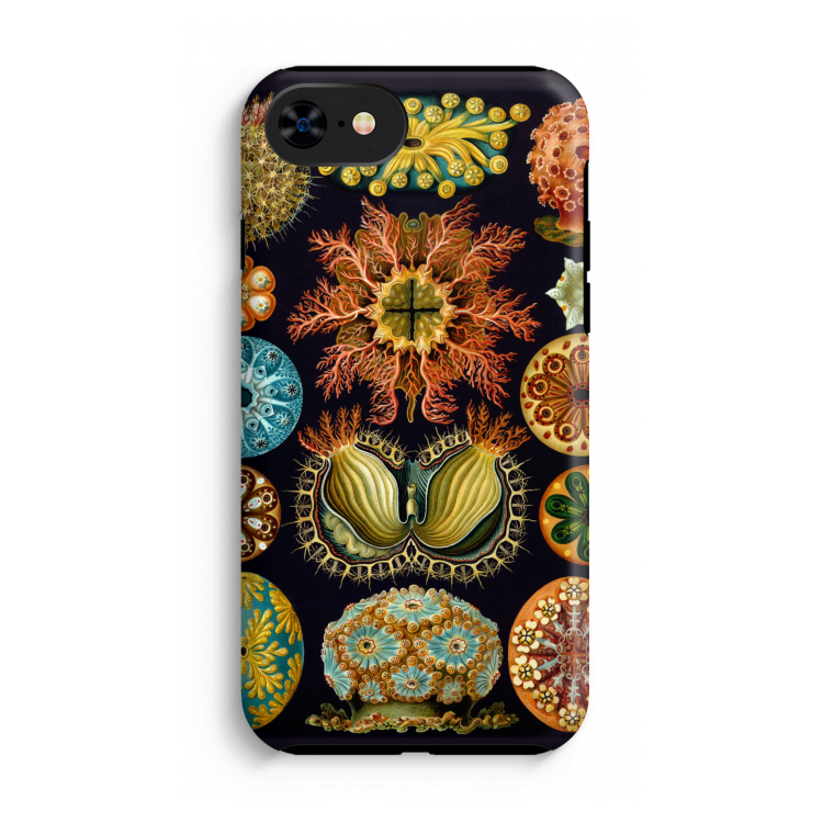 Haeckel Ascidiae: iPhone SE 2020 Tough Case