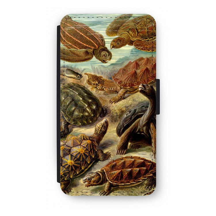 Haeckel Chelonia: iPhone X Flip Hoesje