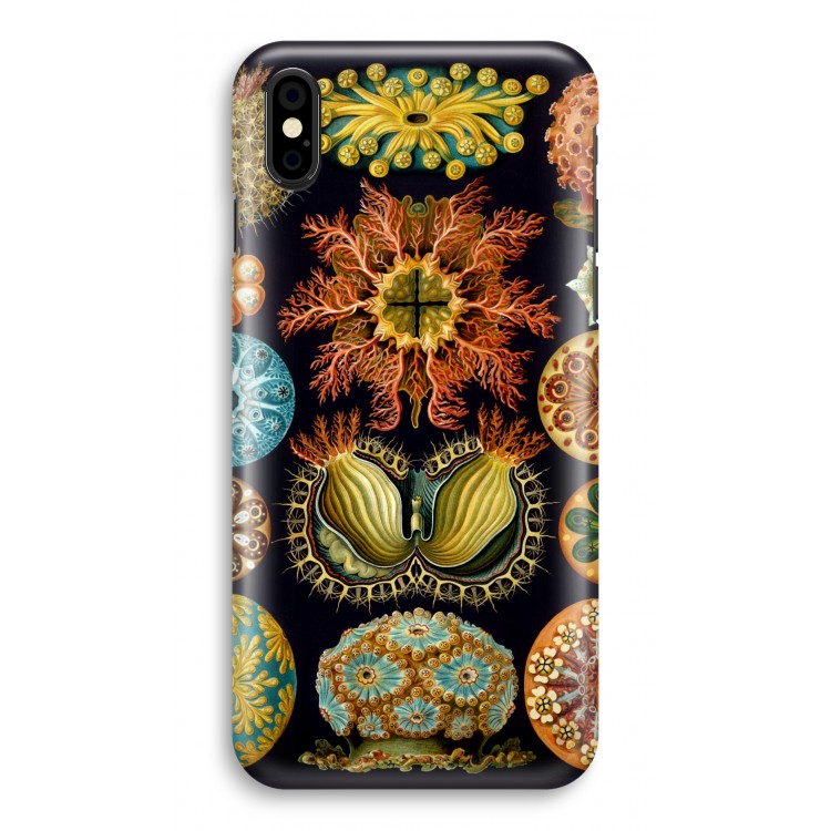 Haeckel Ascidiae: iPhone X Volledig Geprint Hoesje