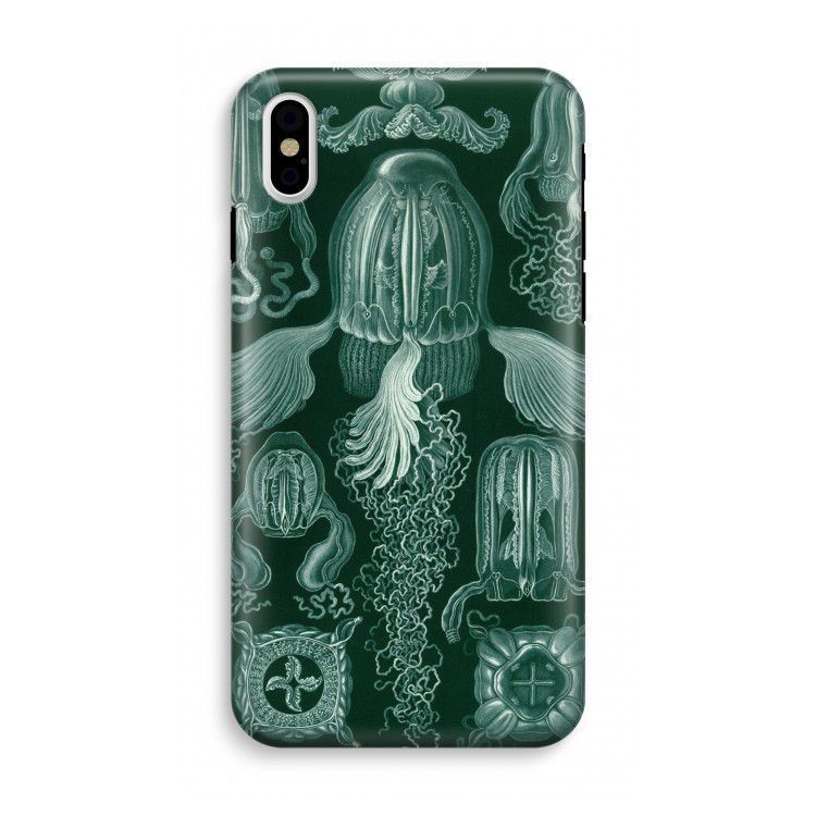 Haeckel Cubomedusae: iPhone X Tough Case