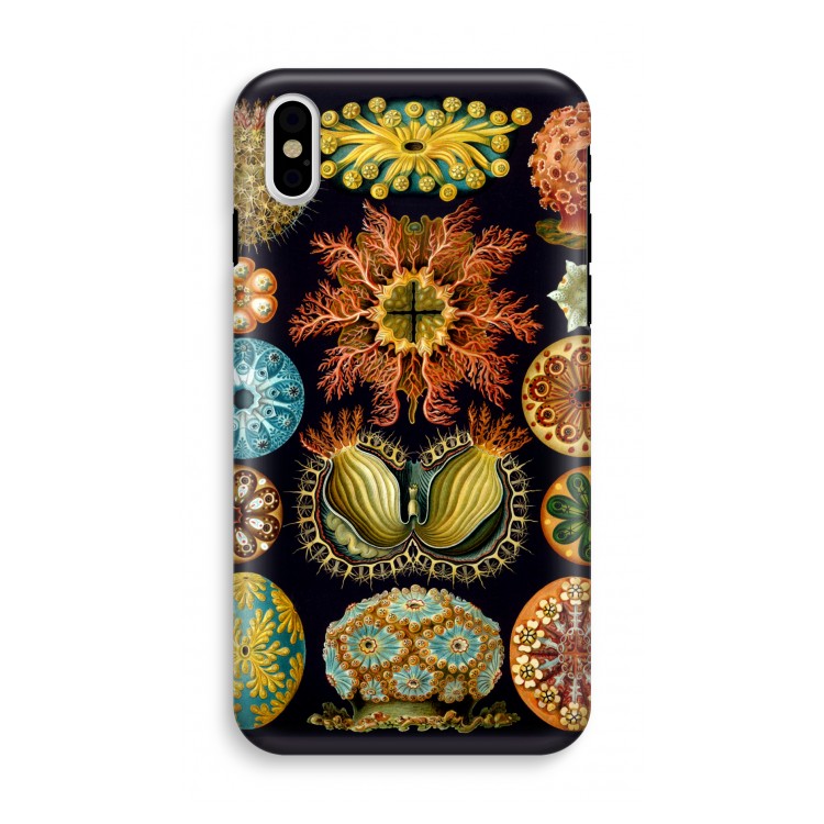 Haeckel Ascidiae: iPhone X Tough Case