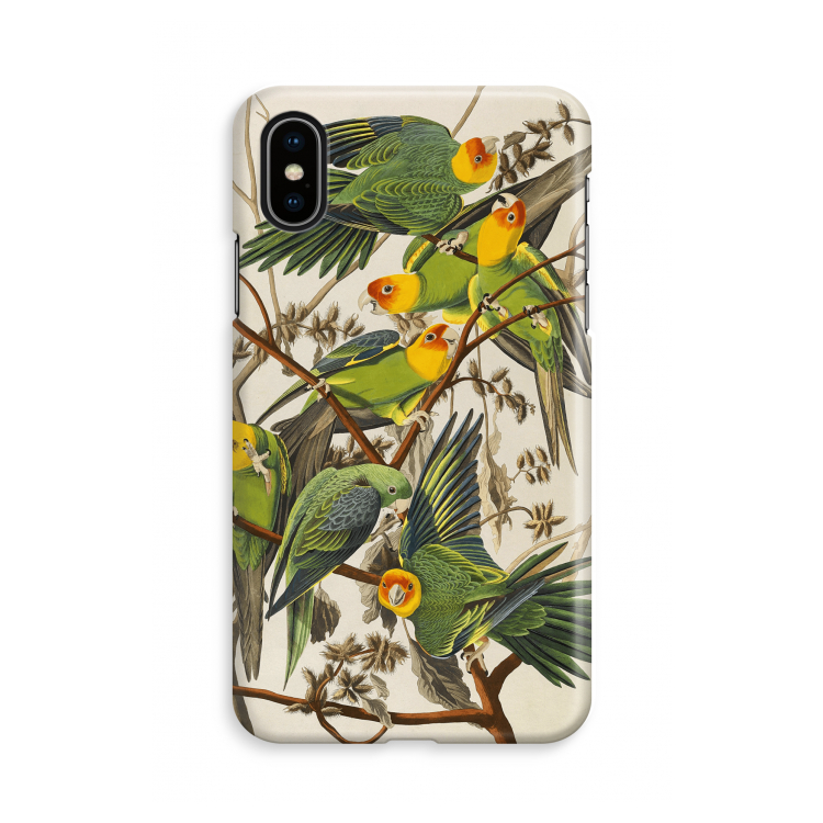 Carolinaparkiet: iPhone X Volledig Geprint Hoesje