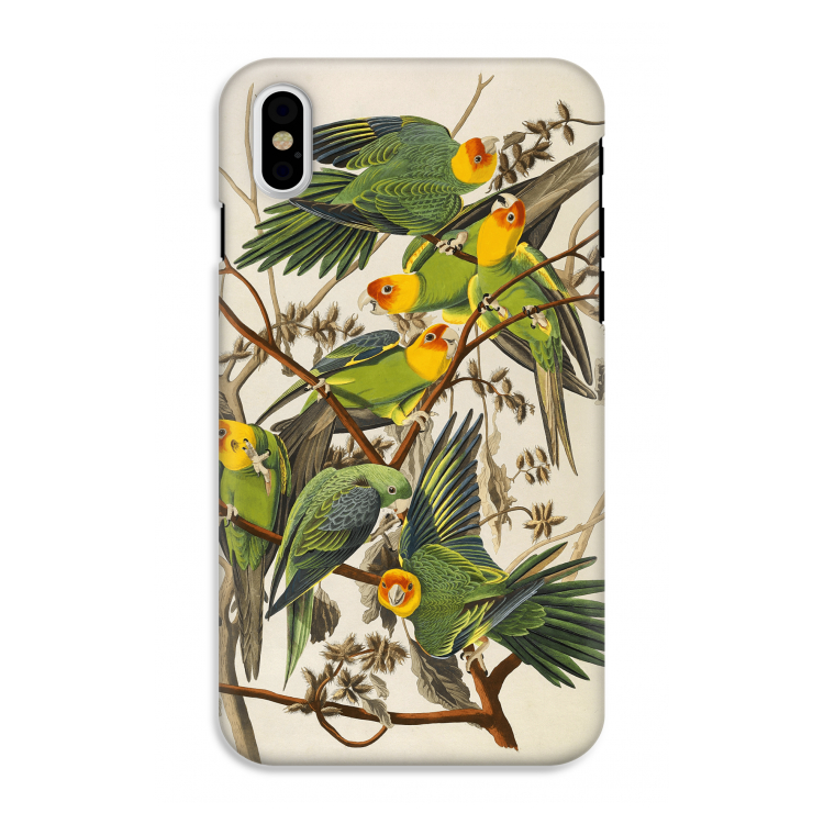 Carolinaparkiet: iPhone X Tough Case