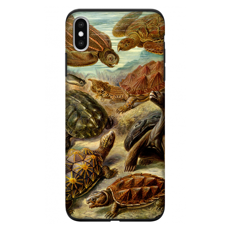 Haeckel Chelonia: iPhone XS Max Tough Case