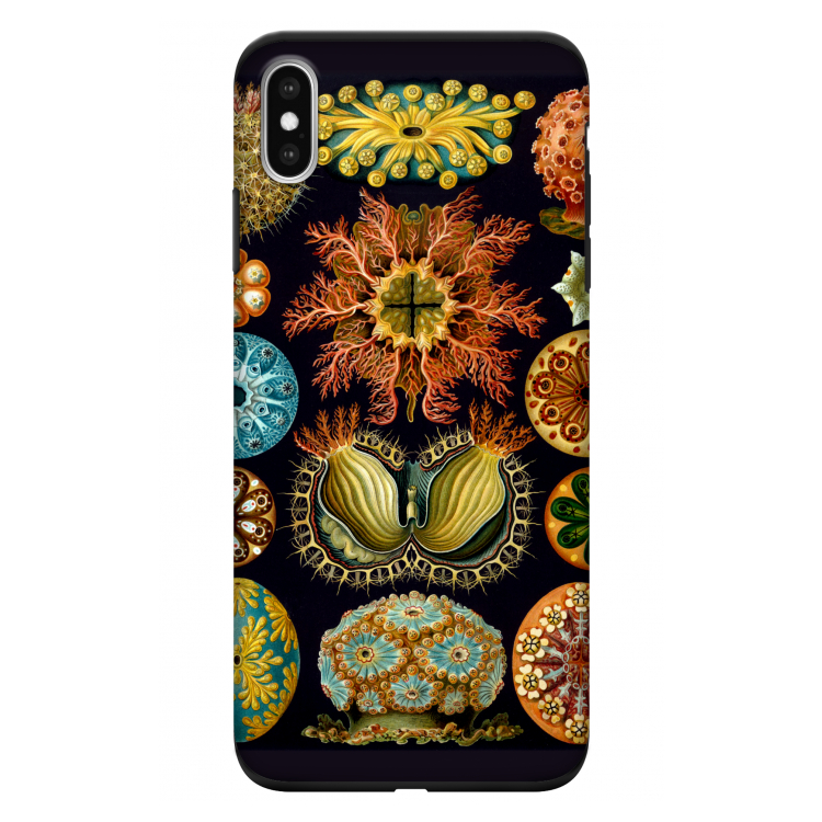 Haeckel Ascidiae: iPhone XS Max Tough Case