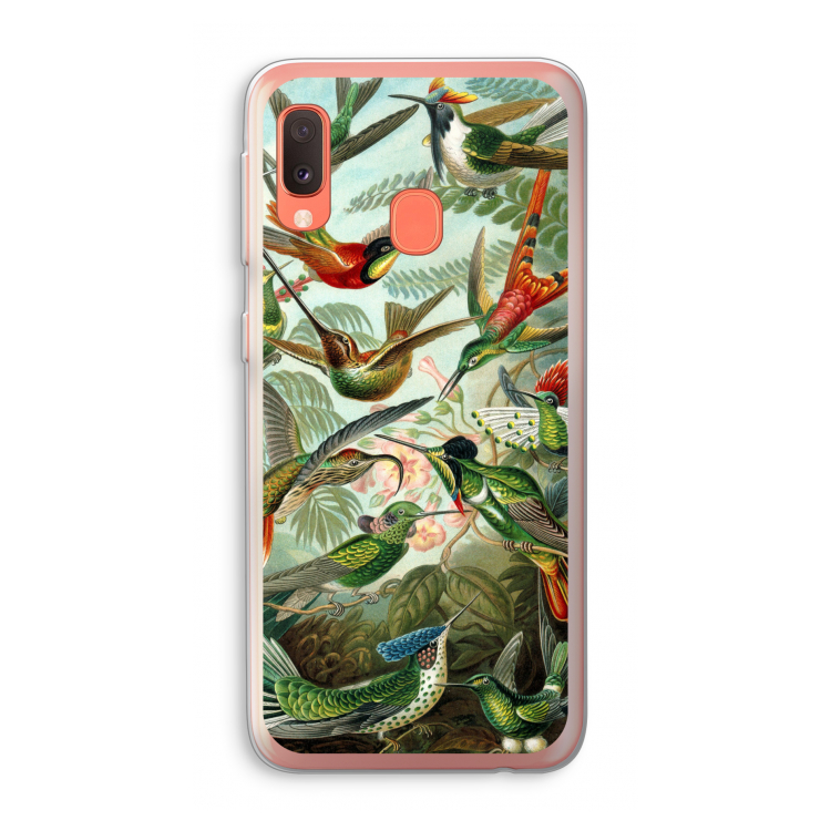 Haeckel Trochilidae: Samsung Galaxy A20e Transparant Hoesje
