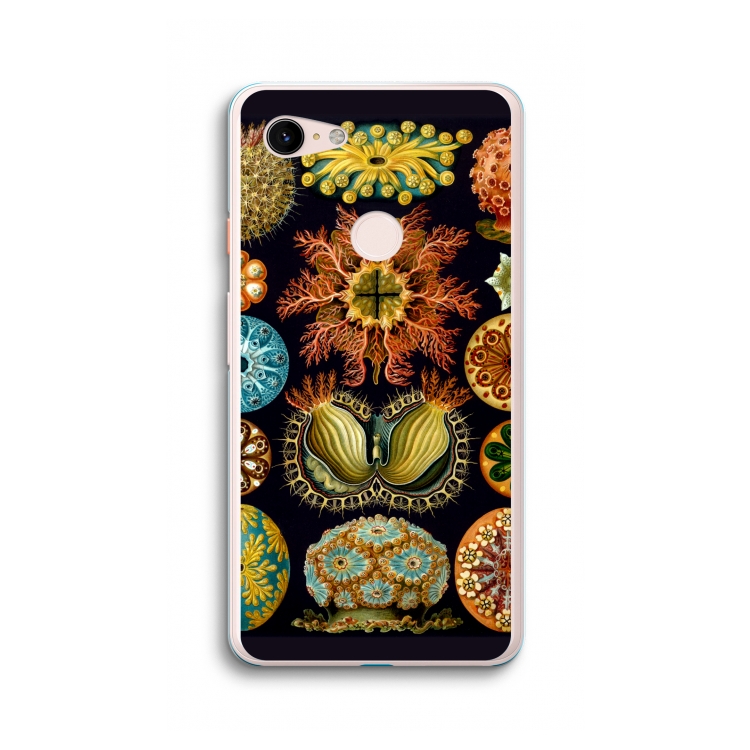 Haeckel Ascidiae: Google Pixel 3 XL Transparant Hoesje