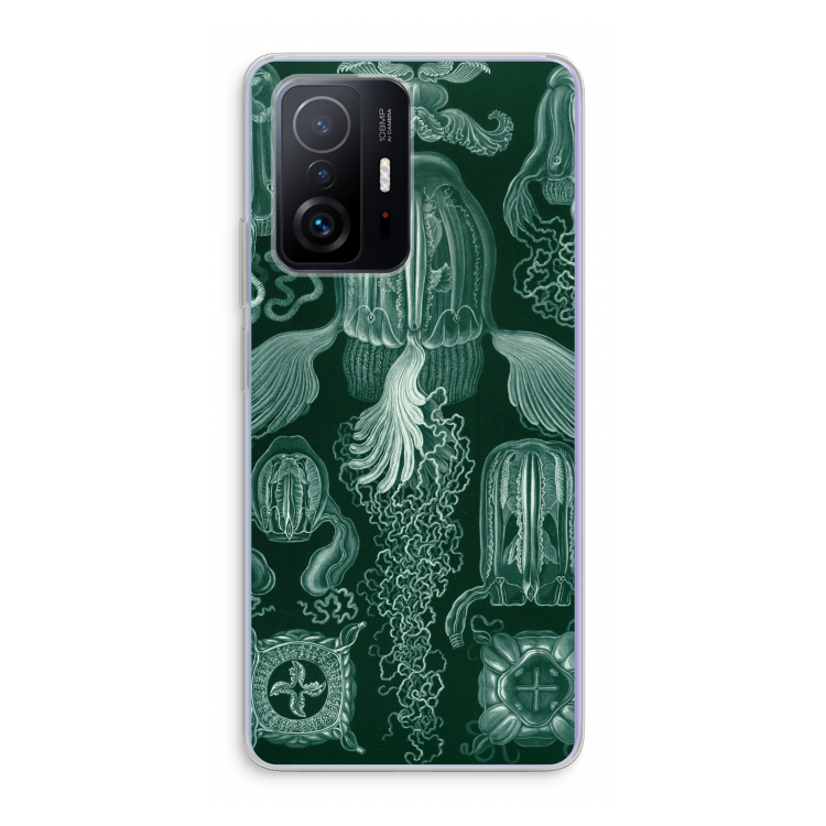 Haeckel Cubomedusae: Xiaomi 11T Transparant Hoesje