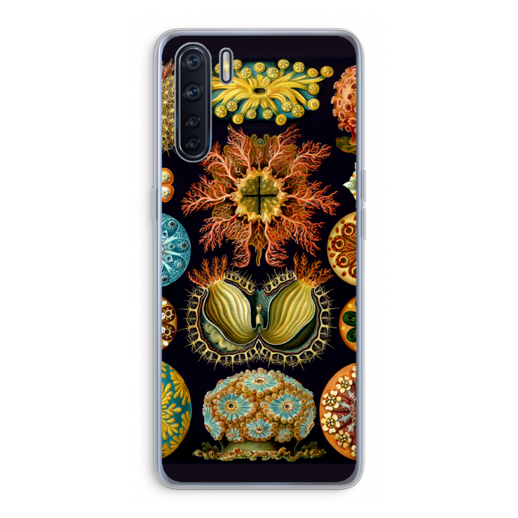 Haeckel Ascidiae: Oppo A91 Transparant Hoesje