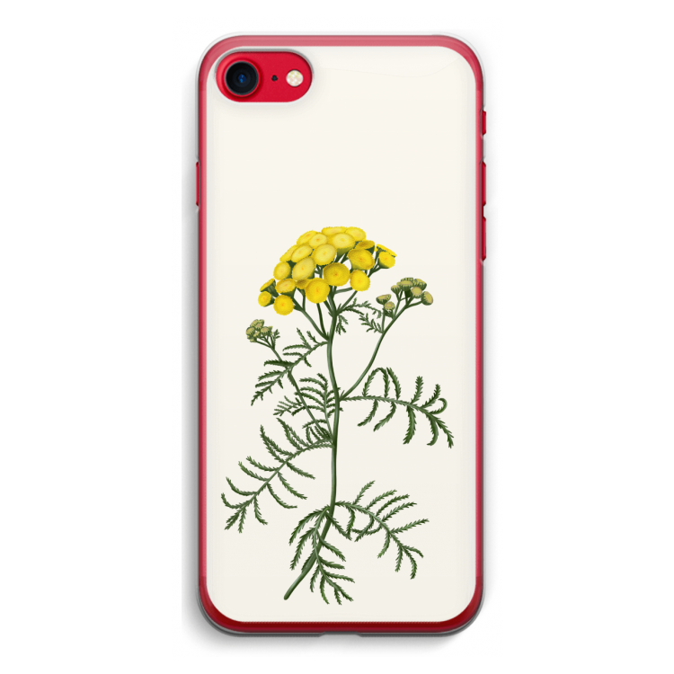 Tansy: iPhone SE 2020 Transparant Hoesje