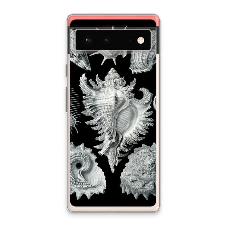 Haeckel Prosobranchia: Google Pixel 6 Transparant Hoesje