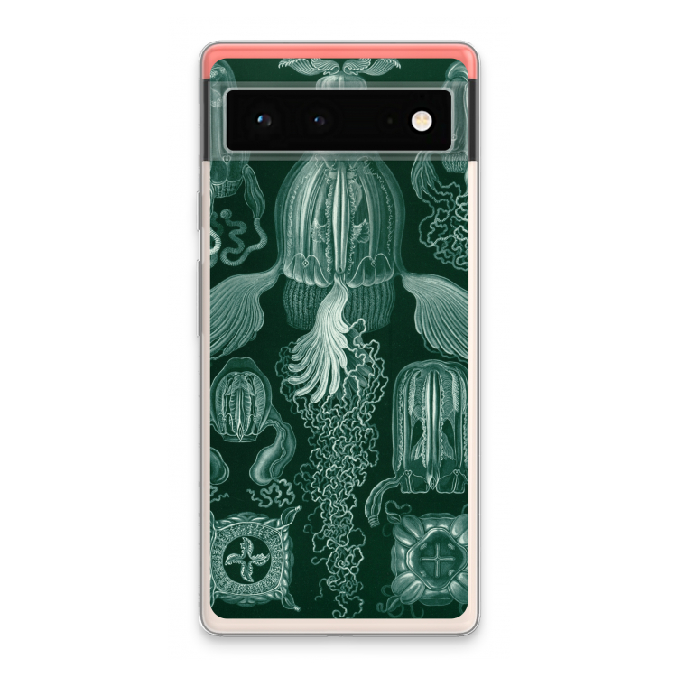 Haeckel Cubomedusae: Google Pixel 6 Transparant Hoesje