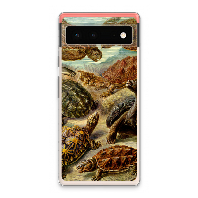 Haeckel Chelonia: Google Pixel 6 Transparant Hoesje