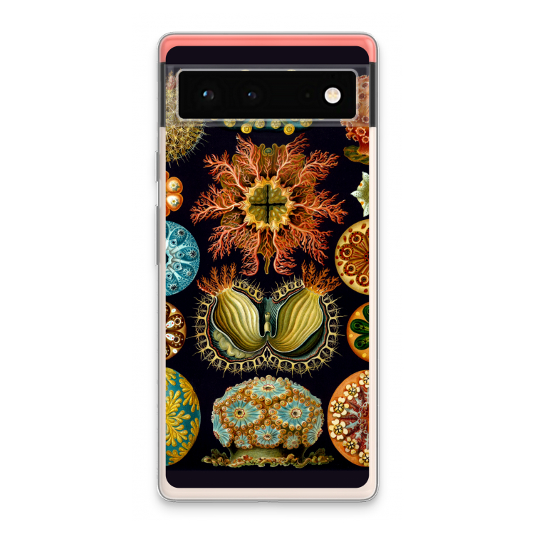Haeckel Ascidiae: Google Pixel 6 Transparant Hoesje